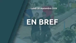 In brief