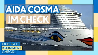 What can the "AIDA Cosma" do? | Sat.1 Cruise Check