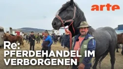 Rumäniens umstrittene Pferdemärkte | ARTE Re: