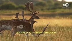 Let's Protect What Matters