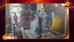 ராமநாதபுரம், ஸ்ரீஆதி ரத்னேஸ்வரர் சௌபாக்கியநாயகி ஆலயத்தில் நடைபெற்ற பிரதோஷ பூஜை | Bhakthi News |