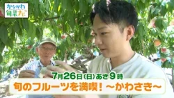 かながわ旬菜ナビ　次回予告（7月26日放送）
