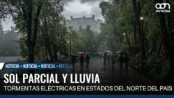 Extreme weather in Mexico: Desert heat in the north, heavy rain in the south and rain for Mexico ...
