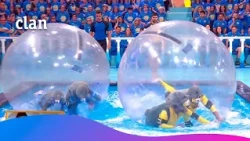 La prueba de los hámsters vuelve a desatar el caos en el Grand Prix