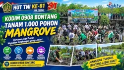 81st TNI Anniversary, Kodim 0908/Bontang Plants 1,000 Mangrove Trees