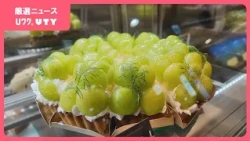 県産のフルーツをふんだんに使ったケーキ店オープン　JR甲府駅に新スポット　ホールケーキなど当日受付も可能　山梨
