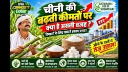 Apna Commodity Expert: What is the real reason behind rising sugar prices? What is its impact on ...