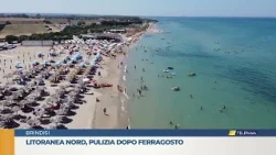 North coast, cleanup after Ferragosto