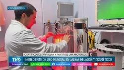 Scientists develop an ingredient from microalgae used worldwide in jellies and ice cream