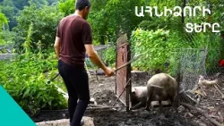 «Քաղաքը բրախեցինք ու 4 երեխեքիս հետ եկա գեղը». ինչու է Հայկը վերադարձել Ծմակուտ