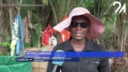 CLIN D’OEIL / SOCIÉTÉ : L'AGRICULTURE BIOLOGIQUE, LE PARI DE MENGUE