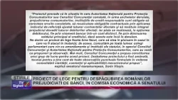 05 BILL TO COMPENSATE ROMANIANS HARMED BY BANKS, IN THE SENATE ECONOMIC COMMITTEE