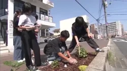 Children in Kurashiki City create an "AI flowerbed" and ask, "Will the leaves not get sunburned e...
