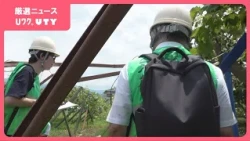 「これだけ暑い思いをして作って…」　風やひょう　ブドウ棚が倒れるなど被害　山梨県笛吹市でレベル4・土砂災害危険警報
