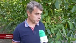 Climate change puts walnut farming to the test 10/15/2026