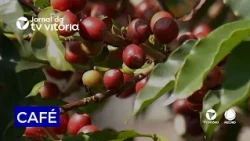 Exhibition portrays the history of coffee in Espírito Santo