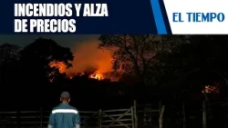 Forest fires threaten harvests and market prices | EL TIEMPO