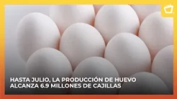"Love Eggs" support food security for rural families