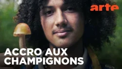 Les champignons ont la cote | Twist | ARTE