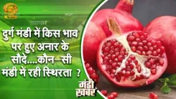 Mandi News: At what price did pomegranate trade in Durg Mandi? Which market saw stability? | DD K...