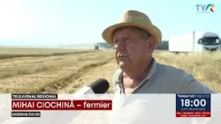 WHEAT: GOOD YIELD, LOW PRICE