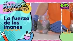 Manos al experimento - La fuerza de los imanes