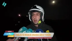 Dağlıq və meşəlik ərazidə güclü yanğın | Canlı Yayım