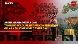 Artha Graha Peduli Peringati Global Tiger Day 2024 bersama Tambling Wildlife Nature Conservation