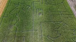Hungary: You can wander for hours in Central Europe's largest corn maze