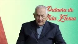 Word of Eternal Life - 09/10/2026 - Lk 6:27-38