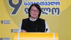ივანიშვილმა საქართველოს მომავალი გაწირა სიღარიბისთვის, უცოდინარობისა და სიბნელისთვის -ფიქრია ჩიხრაძე