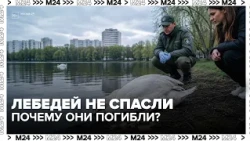— Moscow 24