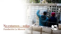 We Are Not Alone | La Morera Foundation