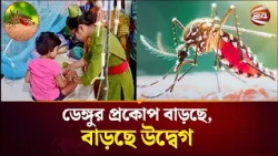 ডেঙ্গুতে বাড়ছে আক্রান্তের ঝুঁকি! | Dengue | Channel 24
