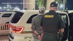 Suspect accused of plotting New Orleans festival mass shooting released after charges refused: repor