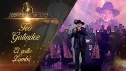 [Concierto De Lujo] – Teo Galíndez – El Gallo Zambo