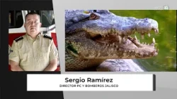12 crocodiles hunted in Puerto Vallarta; no arrests made