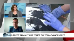 Ενθαρρυντικά μηνύματα από τους πελαργούς στις Φέρες