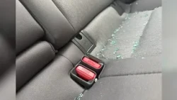 Chapel Hill police investigate nearly 60 overnight vehicle break-ins
