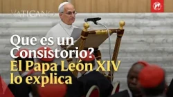 What is a consistory? The role of the cardinals alongside Pope Leo XIV