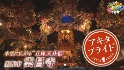 和丸は男鹿市北浦の雲昌寺を訪れ、見ごろを迎えるアジサイと豪華絢爛な立体天井絵について紹介✨「土曜の情報缶詰どっかん！」◆アキタプライド◆2026年6月20日放送
