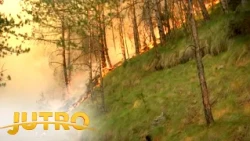 Požari u Srbiji uživo sa terena: Trenutna situacija - JUTRO