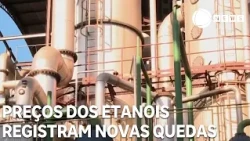 Ethanol prices register new drops