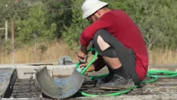 Na Teznem vse več težav s komarji