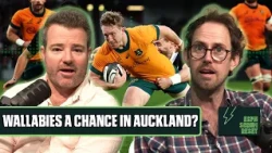 Bledisloe blueprint: Are Wallabies a chance in Auckland?