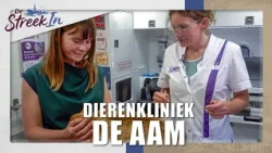 Out and about with the animal ambulance! || INTO THE REGION