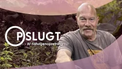 Opslugt - Af naturgenopretning