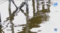 Tay Ninh's aquaculture shows positive growth in the first 6 months