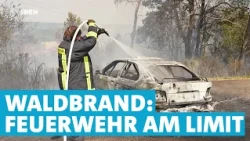 Waldbrände im Kreis Birkenfeld: Feuerwehr am Limit