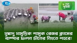 সুস্বাদু সামুদ্রিক শামুক রেজর ক্লামের বাম্পার ফলন চীনের নিংতে শহরে! | Sobuj Prithibe | Rtv